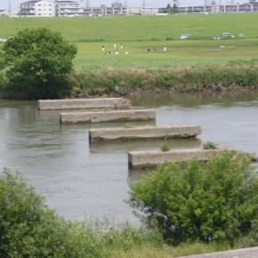 【ちょっと昔の流山43】2008年6月15日 江戸川、流山6丁目、南流山