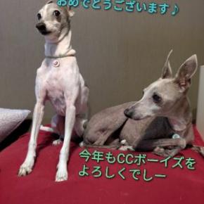 CCボーイズの、ご挨拶もそこそこに。