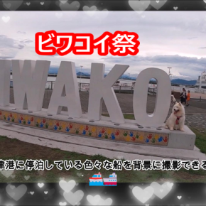 サモエドさくら美しい湖畔の心地よい風を感じながらイベントを楽しみよ✨