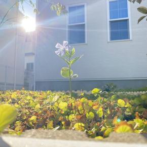 階段を登る感じかな？