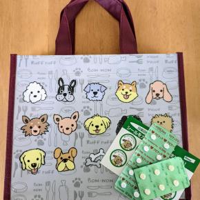 まろんちゃんの病院に行って来ました。