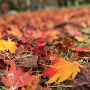 色々 あちこち ボロボロ