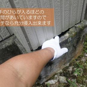 イタチの侵入口はパイプスペースの隙間から！捕獲から1年で再侵入。京都府宇治市の防除事例