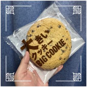 🚩外食日記(1757) 宮崎 🆕 「FamilyMart日ノ出町店」より、【大きな窯出しプリン🍮】【大きいクッキー🍪】‼️🌐宮崎市日ノ出町🌐