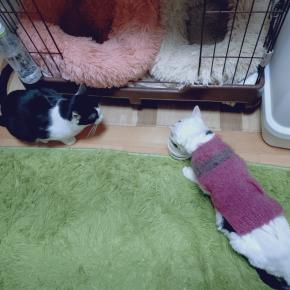 残せ〜〜残せぇぇぇぇ！！！