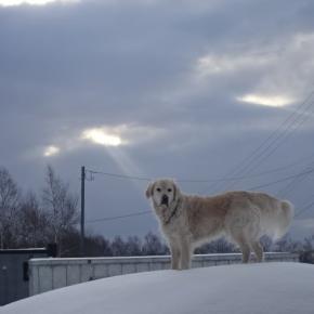 まだ雪たっぷりです・・・