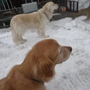 春は、何かと出費が多いよね(´；ω；`)