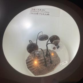 私達の結婚ばなし