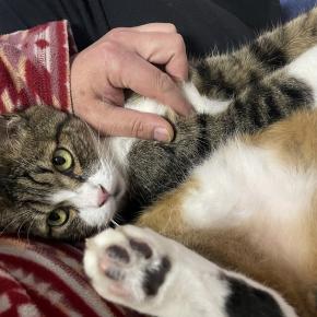 ももっちと一緒に寝ています