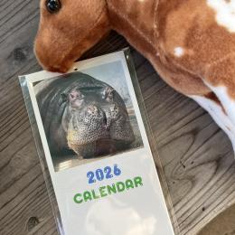 娘一家と動物園へ行ったり孫と2人で買い物へ行ったり