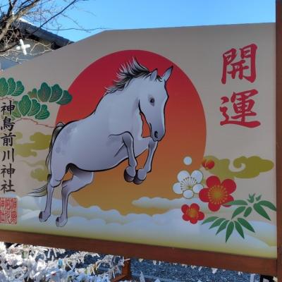 令和八年 初めての新年一般参賀へ🎍