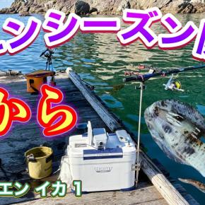 2026ヤエン開幕 動画公開しました