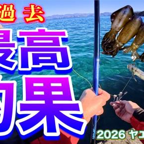 2025年最後の動画アップしました！