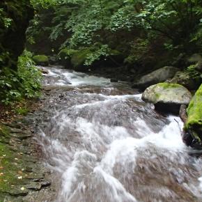 プチ源流の岩魚釣りは甘くなかった……と言う話