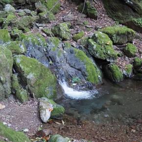 2025渓流シーズンも終了ですね