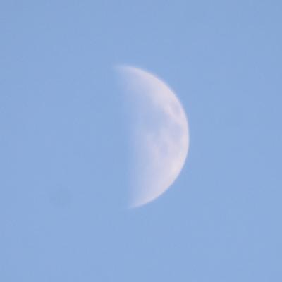 本・ハレーション