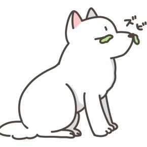 コロナが家にやって来た／犬もコロナに感染するの？