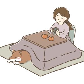 大好き♡人間をダメにする◯◯◯