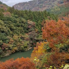 本家終いと墓じまい、故郷を失った父