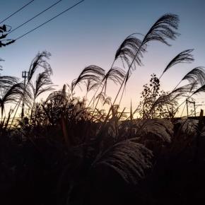 今まで何をして来たんだろう、最近のカルチャーショック