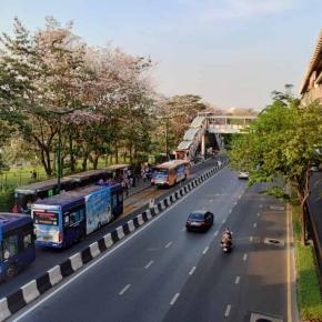 バンコクの「区」巡り（ドンムアン区）⑦ー4 - タイ王国空軍施設を巡る旅（帰路編） - （バンコク・タイ）