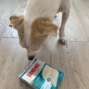 久しぶりにお世話になりました。