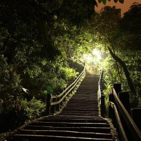 【覚醒★2026】自我の事象の地平線「固定質量の引力を離脱する」:闇を解くフィードバックへの共鳴