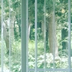 厚生労働省への質問メール⑥ 20210417