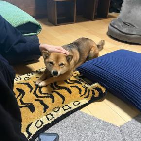 ビックリするくらいかみあわない夫と私の会話