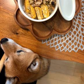 それは、ある日、突然に・・・