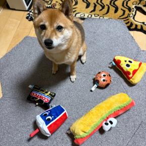 関わりたくなくても、関わるしかないとき