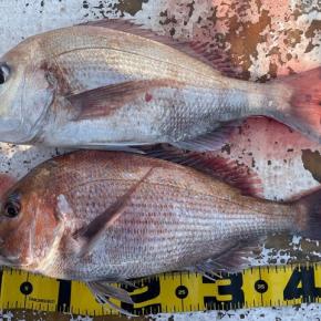 2022 2/18 野島で釣り