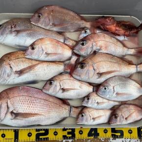 2022 9/13 野島で釣り