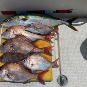 2023/8/16野島で釣り