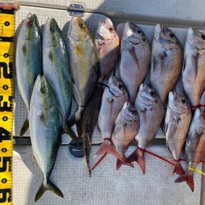 2023/10/31野島で釣り