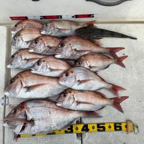 2023/11/9野島で釣り