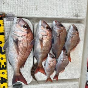 2024/1/19野島で釣り