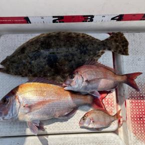 2024/3/14野島で釣り