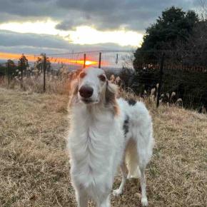 2026年、初日の出。