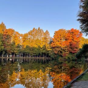 毎朝のウォーキング