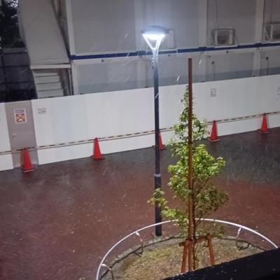 23区でも雪降ってきた！