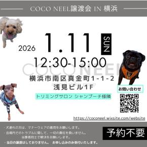2026.1.11 COCONEEL譲渡会のお知らせ