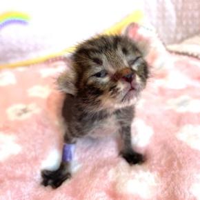 3月 別れの季節