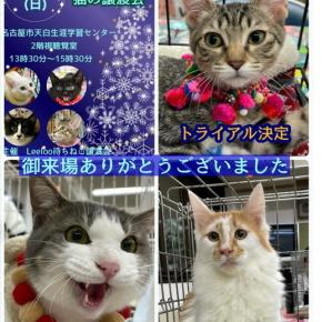 譲渡会のご報告