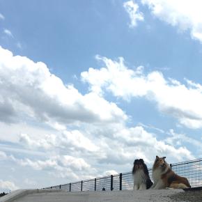 お気に入りの場所
