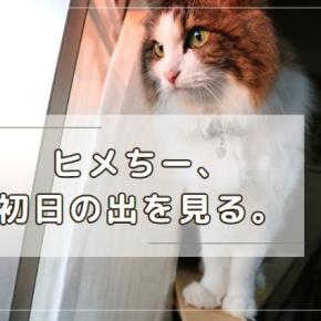 ねぇやんちのお正月と日の出を見るヒメちー