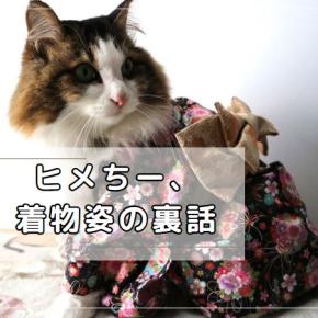 ヒメちー、晴れ着の裏話とお正月恒例アウトレット