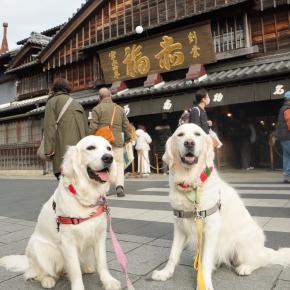 ゆとり休暇の冬旅(6)おかげ横丁で食べ歩き♪