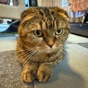 2025.1.2今朝の体重は計測なし