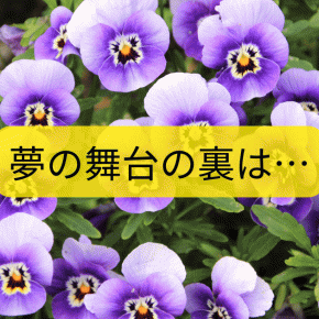 決して許されない！あの劇団の言うことは、あの教団の言っていることと酷似している